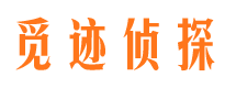 蕉城市私家侦探